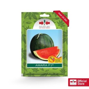 Benih Semangka Cap Panah Merah