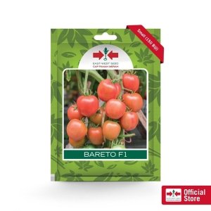 Benih Tomat Merah Cap Panah Merah